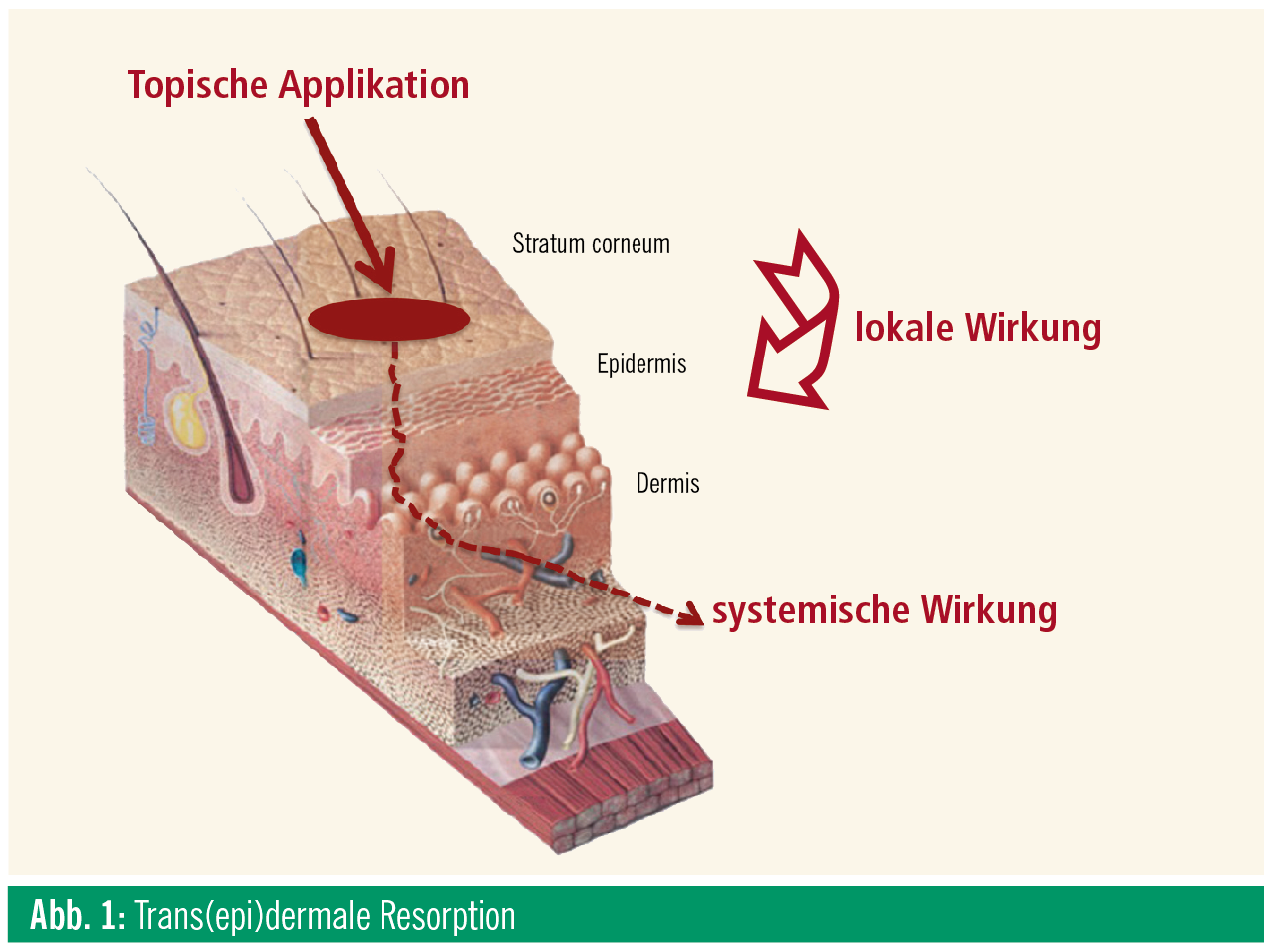 Die radiale Therapie und die Potenz bei den Männern